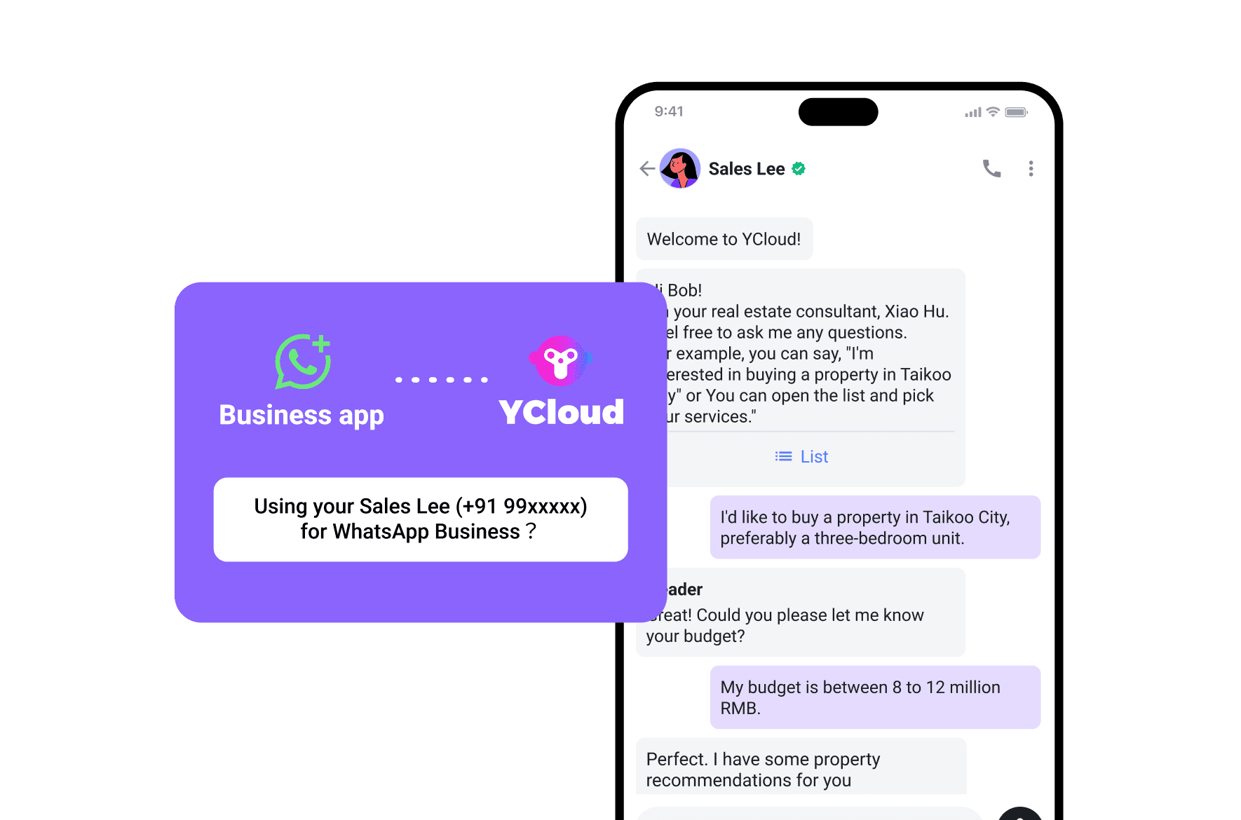 WhatsApp Business App Coexistence